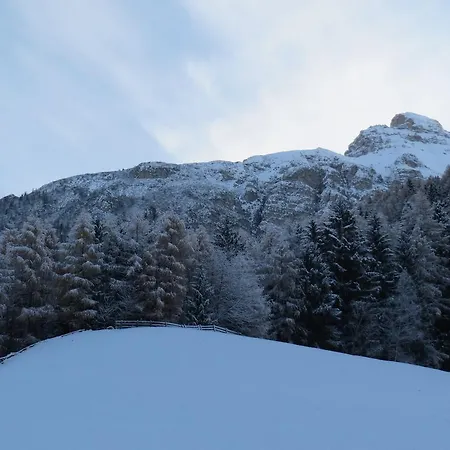 Apartment Halder Neustift im Stubaital